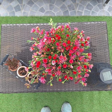 Vic Pigneto, Luxury House Terrace Roma Apartment Exterior photo
