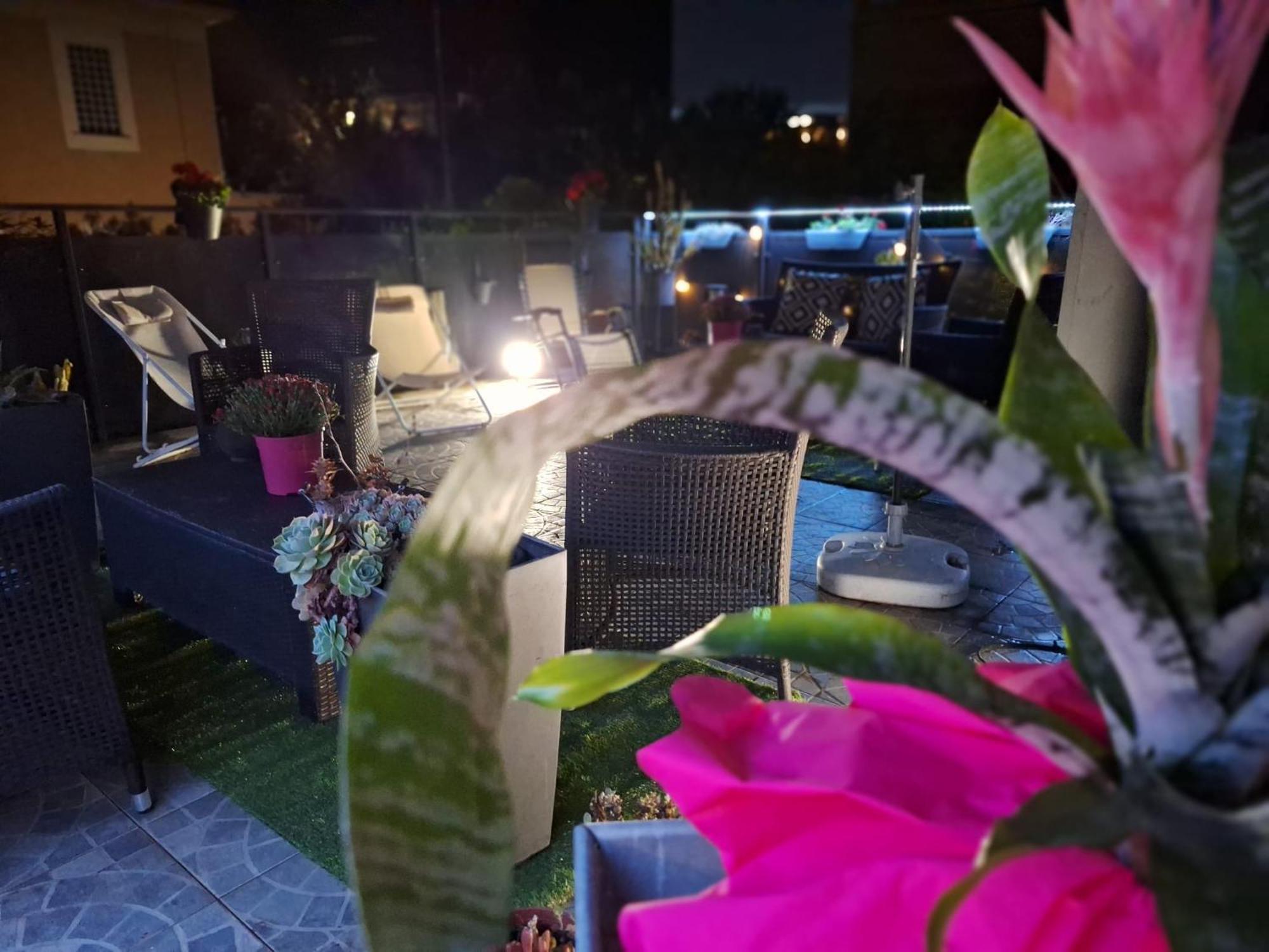 Vic Pigneto, Luxury House Terrace Roma Apartment Exterior photo